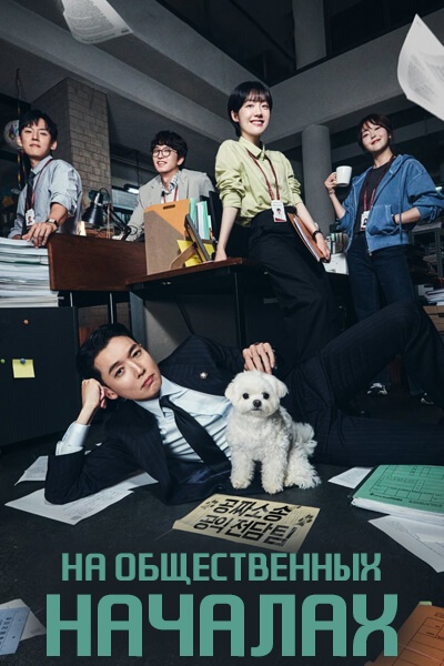 На общественных началах [1 - 12 серии из 12]