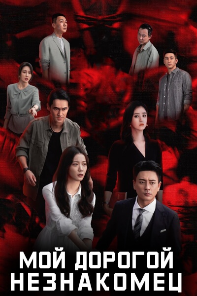 Мой дорогой незнакомец [1 - 13 серии из 13]