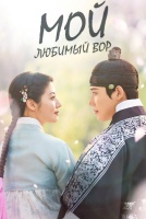 Мой любимый вор [1 - 9 серии из 16]